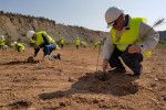 Primigea: Canteras y Minas se comprometen por el clima con una plantación voluntaria de 45.000 árboles, con motivo  de la COP25